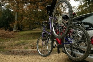 bikes on rack